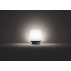 Philips Hue Connected Wellness Bordlampe 26 Philips Hue Connected Wellness Bordlampe -Homeshop Salgsbutik unnamed file 827