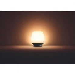 Philips Hue Connected Wellness Bordlampe 27 Philips Hue Connected Wellness Bordlampe -Homeshop Salgsbutik unnamed file 828