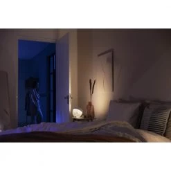 Philips Hue Iris Lampe 26 Philips Hue Iris Lampe -Homeshop Salgsbutik unnamed file 921