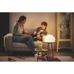 Philips Hue Connected Wellner Bordlampe -Homeshop Salgsbutik unnamed file 936